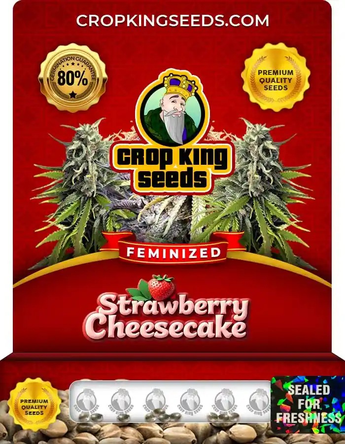 Strawberry Cheesecake Strain Feminized Marijuana Seeds