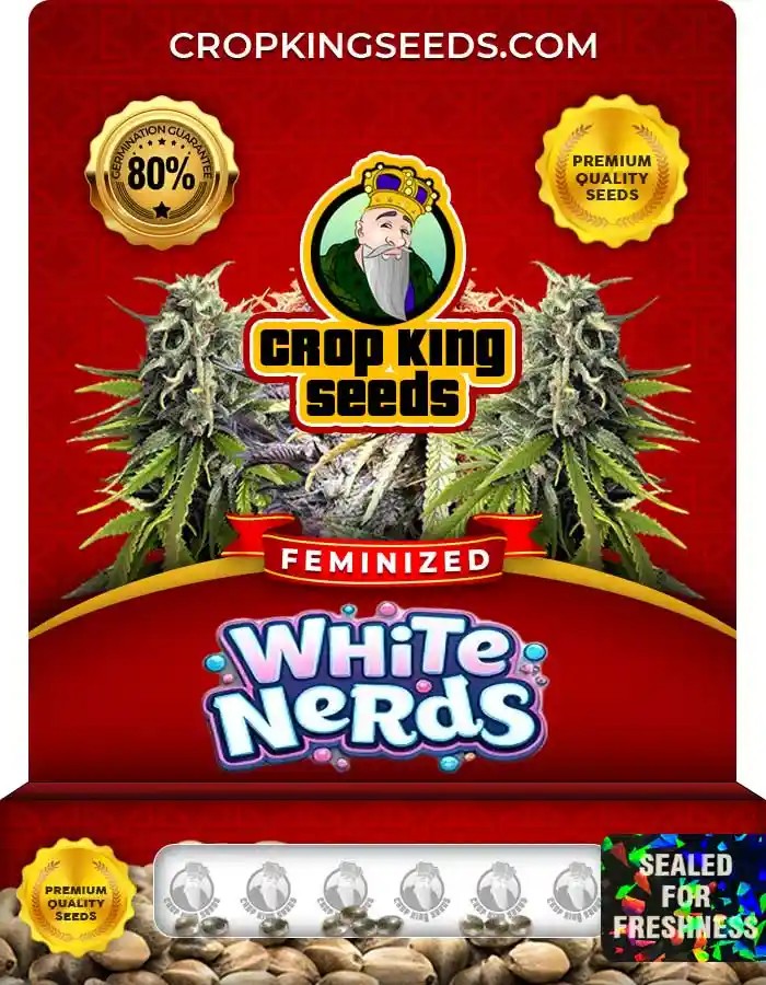 White Nerds Strain Feminized Marijuana Seeds