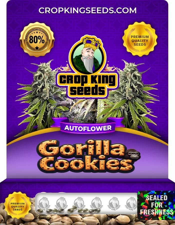 Gorilla Cookies Autoflower Marijuana Seeds