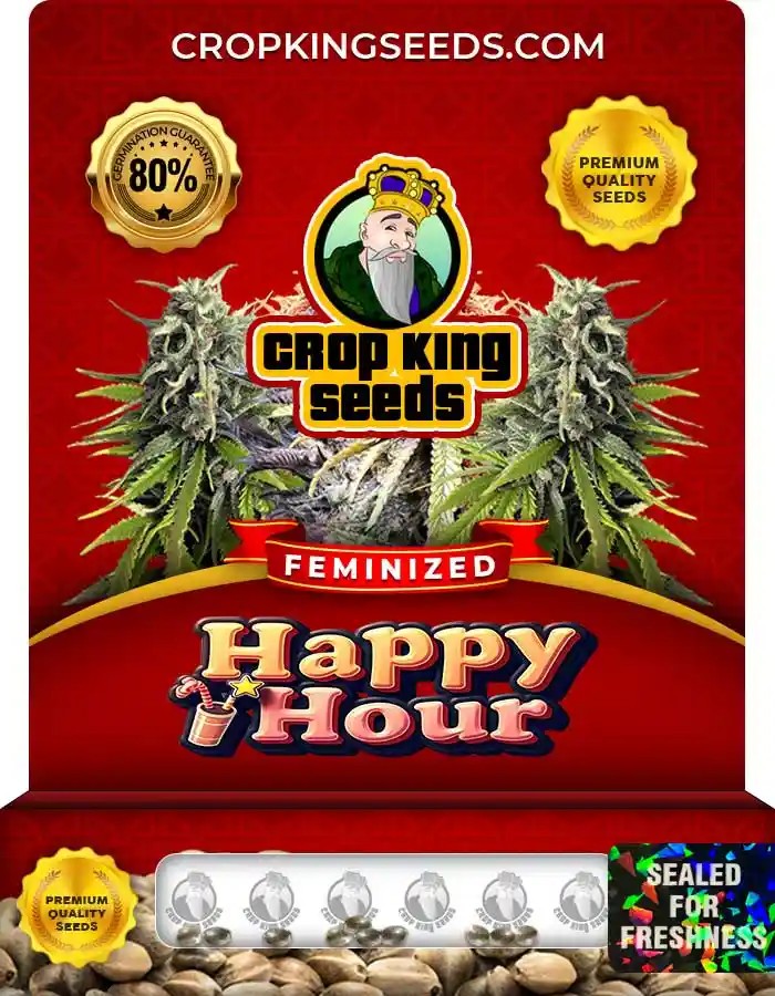 Happy Hour Strain Feminized Marijuana Seeds