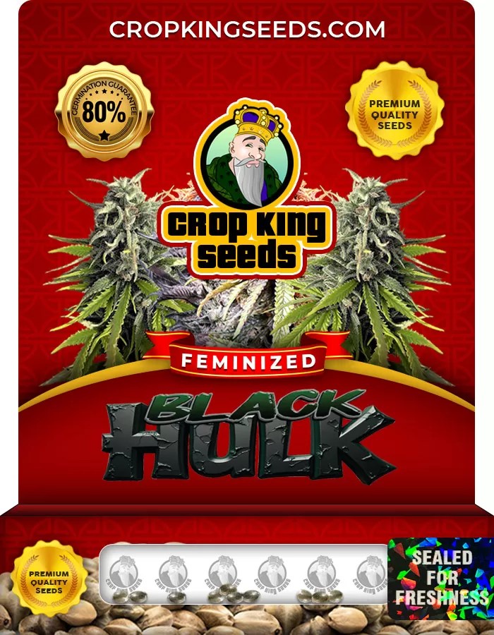 Black Hulk Feminized Marijuana Seeds