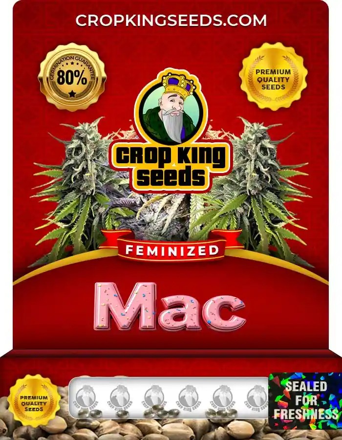 Mac Strain Feminized Marijuana Seeds