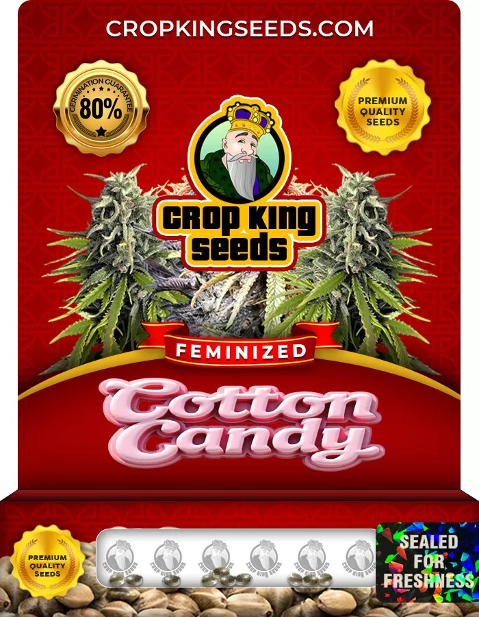 Cotton Candy Feminized Marijuana Seeds