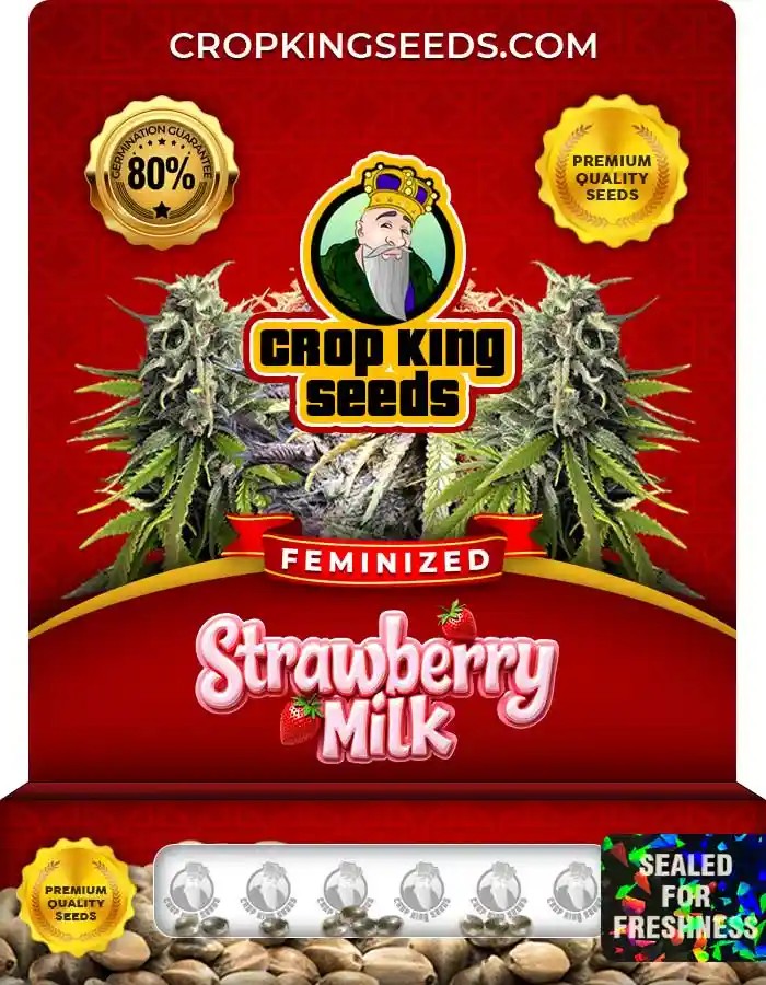 Strawberry Milk Strain Feminized Marijuana Seeds