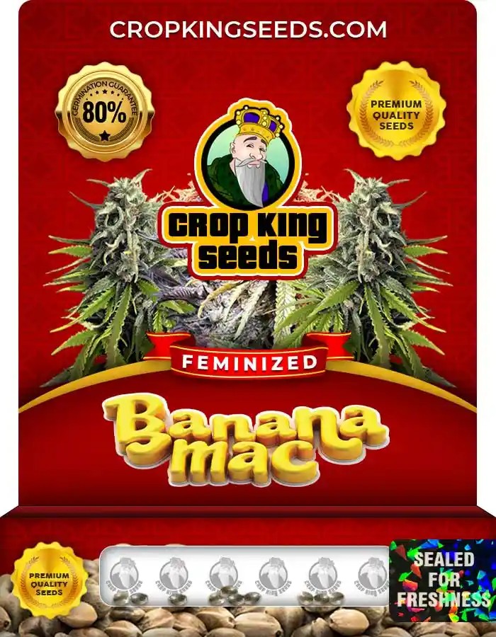 Banana Mac Strain Feminized Marijuana Seeds