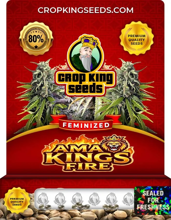 Ama Kings Fire Strain Feminized Seeds
