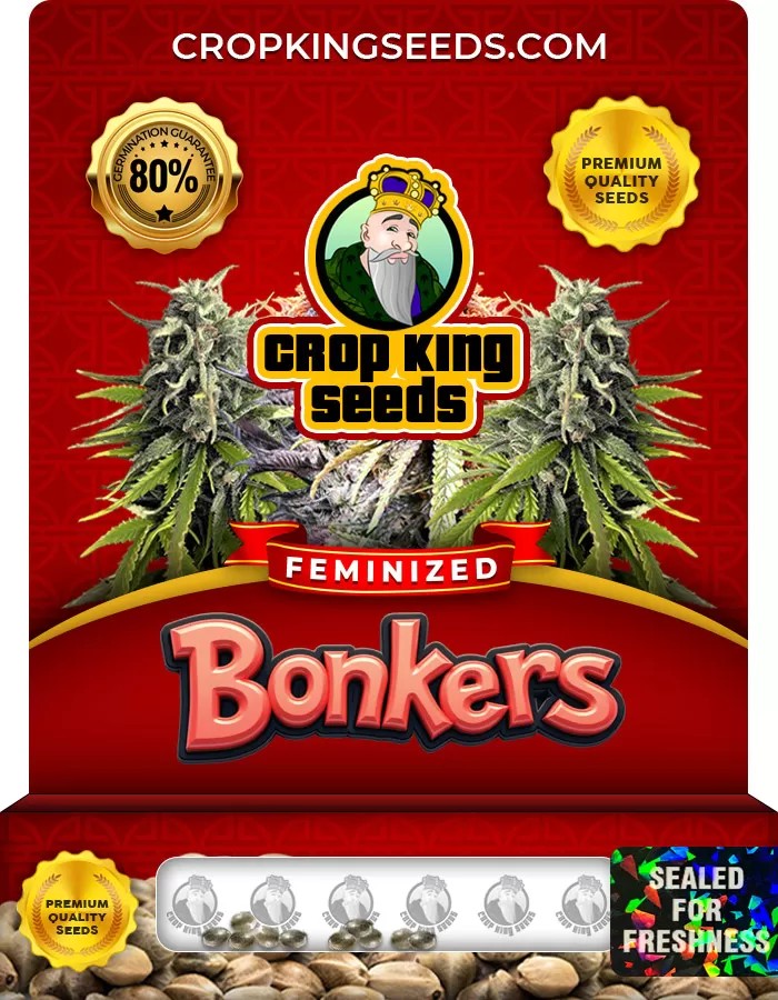 Bonkers Strain Feminized Marijuana Seeds