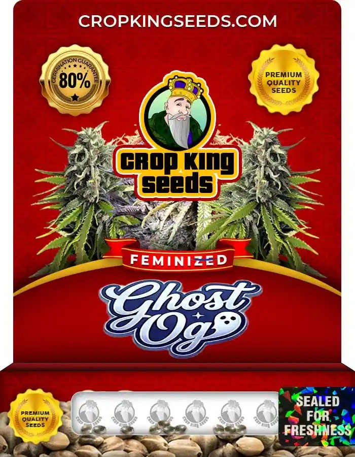Ghost OG Strain Feminized Seeds