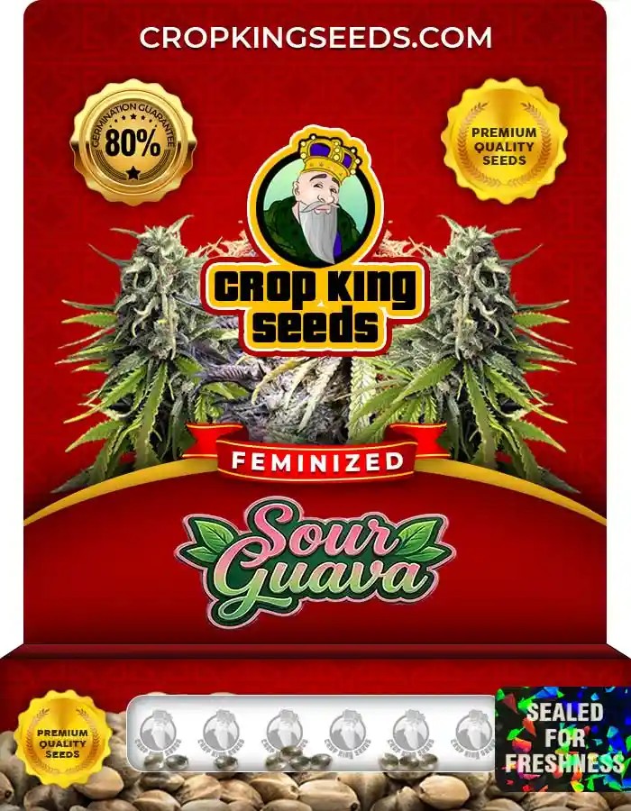 Sour Guava Feminized Seeds