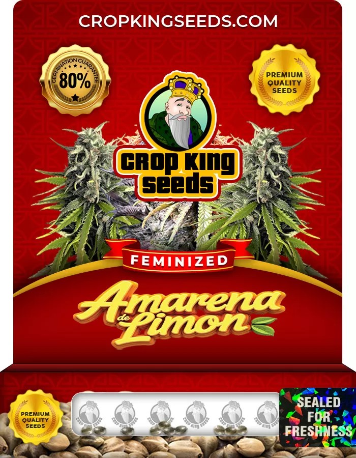 Amarena de Limon Feminized Marijuana Seeds