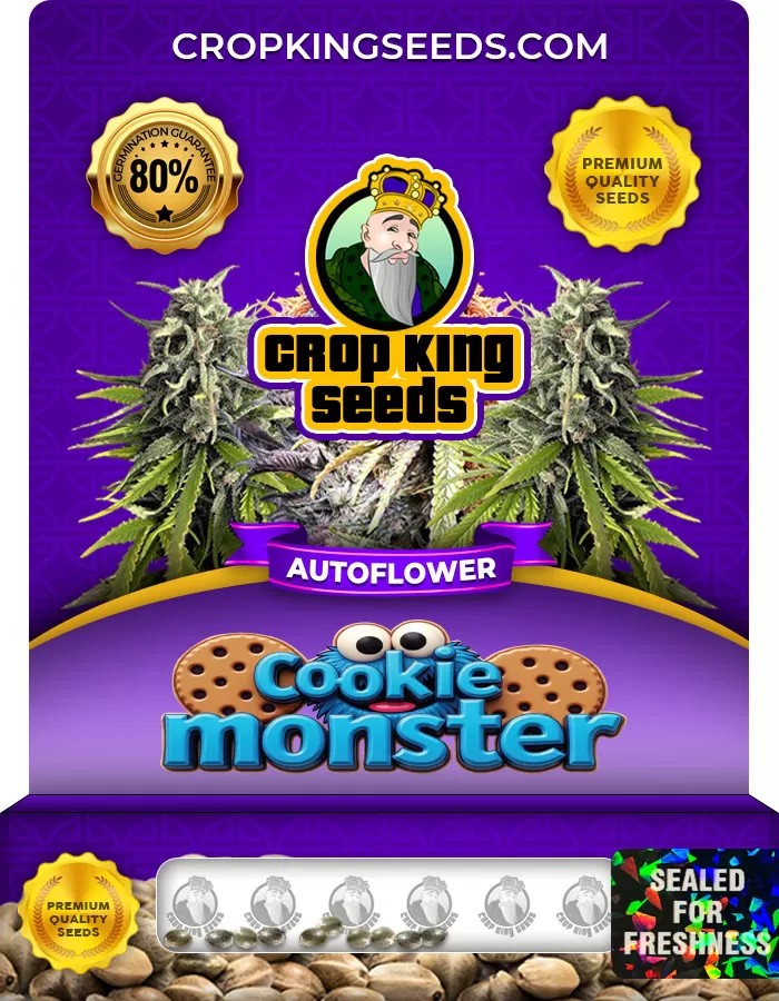 Cookie Monster Autoflowering Marijuana Seeds