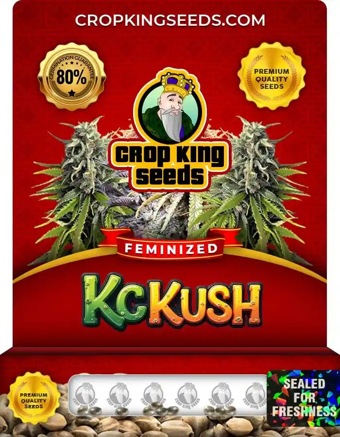 KC Kush Feminized Seeds