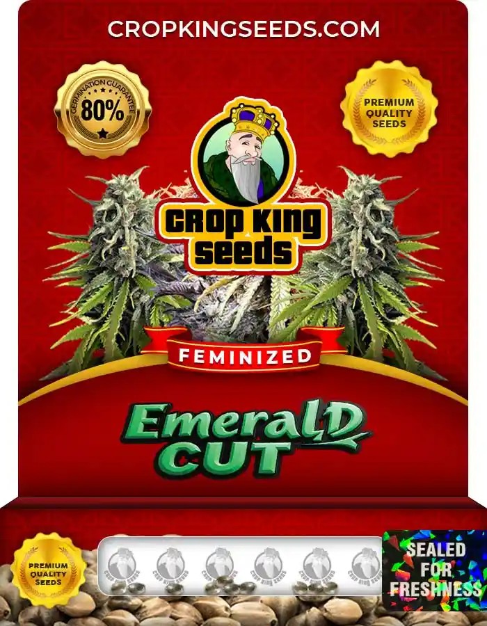 Emerald Cut Strain Feminized Seeds