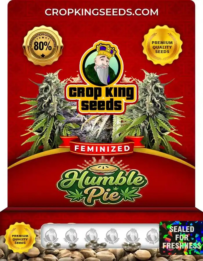 Humble Pie Feminized Seeds