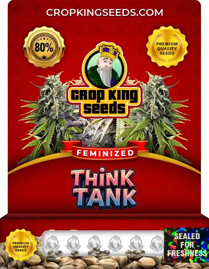Think Tank Strain Feminized Seeds