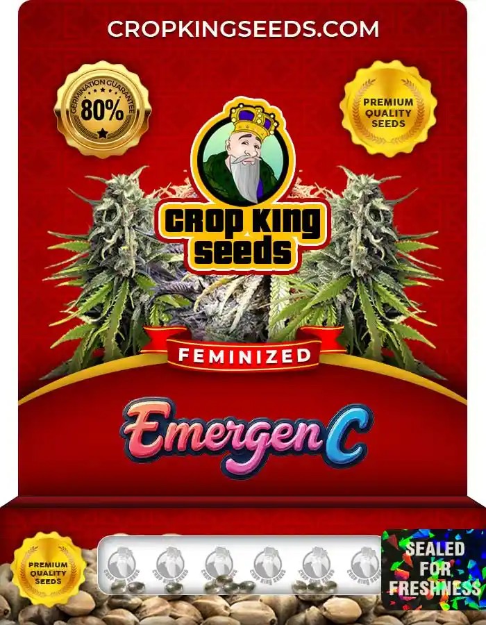 Emergen C Strain Feminized Marijuana Seeds