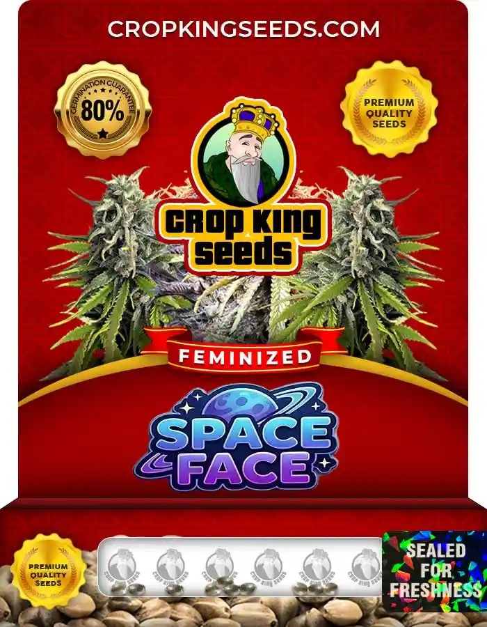Space Face Strain Feminized Marijuana Seeds