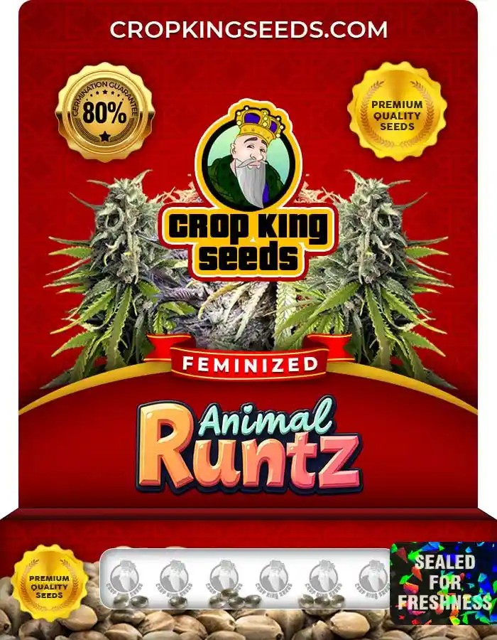 Animal Runtz Strain Feminized Seeds