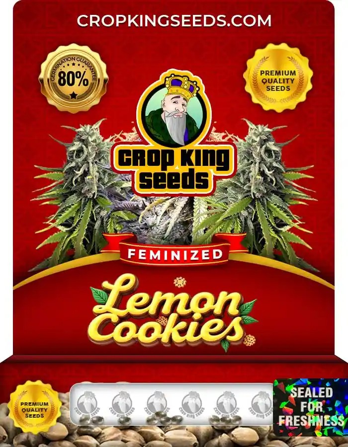 Lemon Cookies Strain Feminized Marijuana Seeds