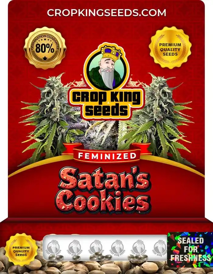 Satan’s Cookies Strain Feminized Seeds