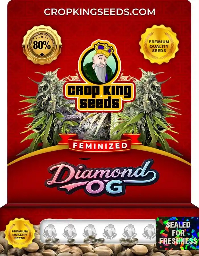 Diamond OG Strain Feminized Marijuana Seeds