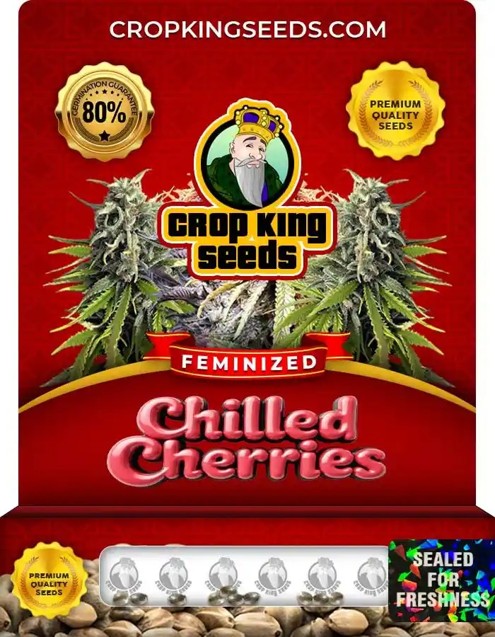 Chilled Cherries Strain Feminized Marijuana Seeds