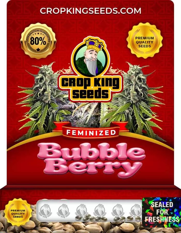 Bubble Berry Feminized Seeds