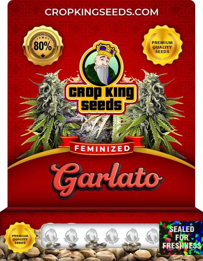 Garlato Feminized Seeds