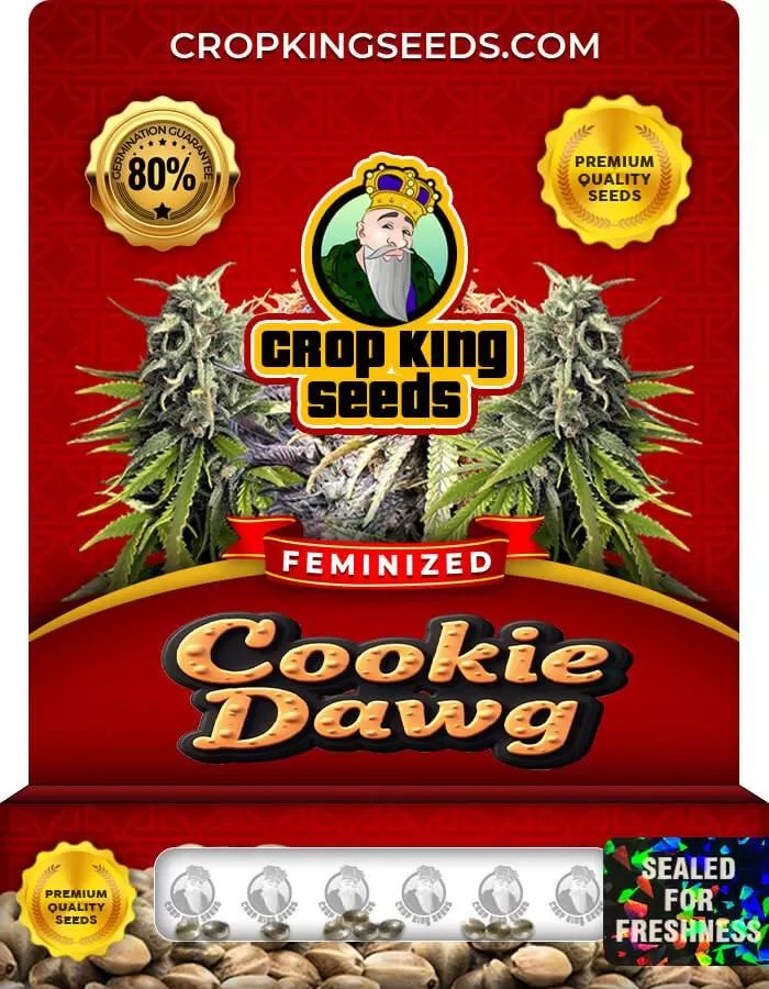Cookie Dawg Feminized Seeds