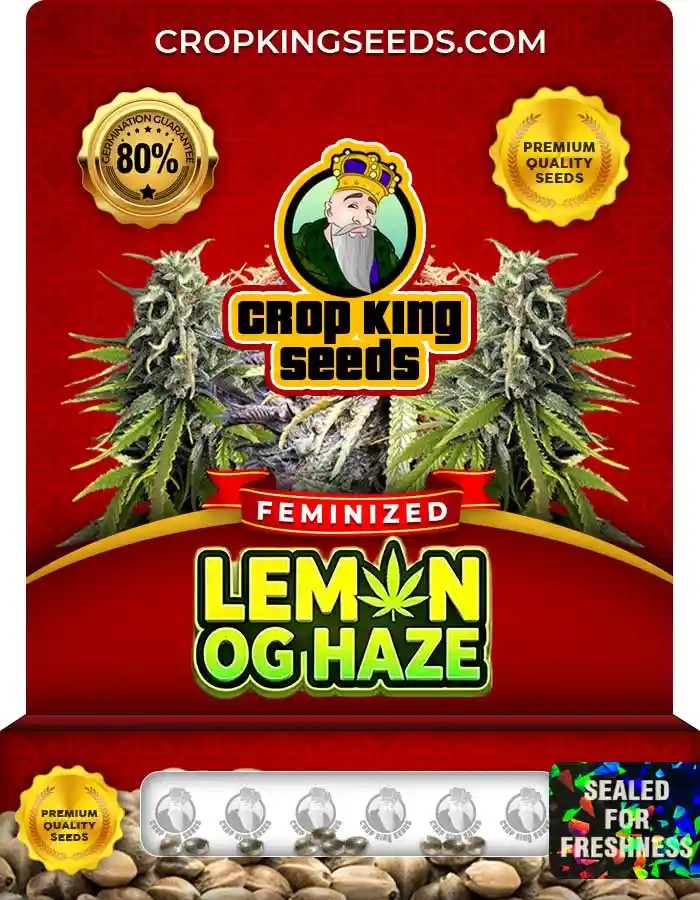 Lemon OG Haze Feminized Seeds
