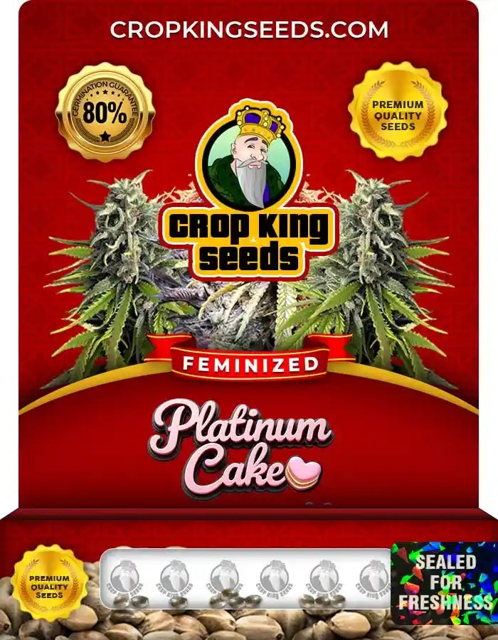 Platinum Cake Strain Feminized Marijuana Seeds