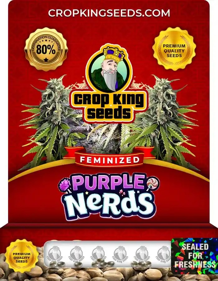 Purple Nerds Feminized Seeds