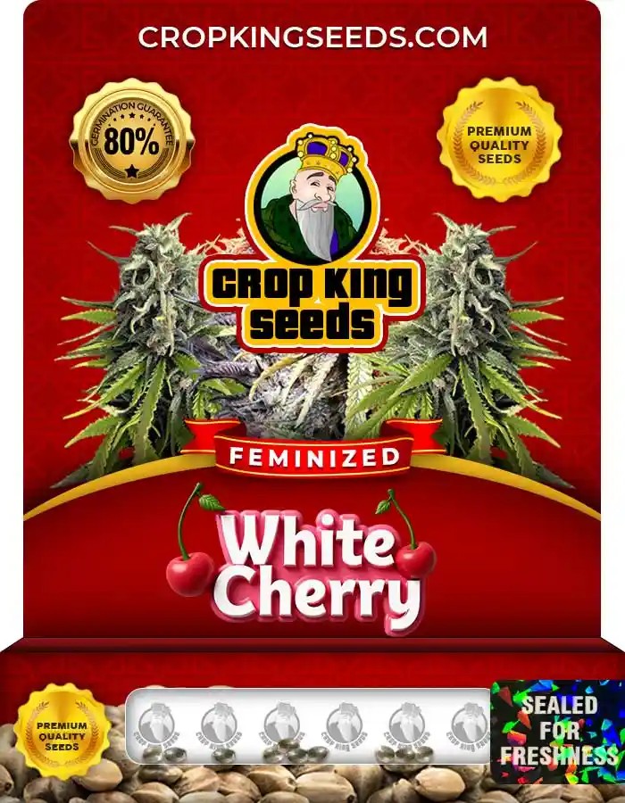 White Cherry Strain Feminized Marijuana Seeds
