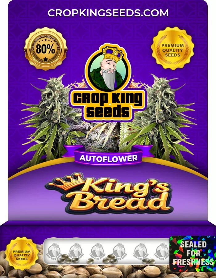 King’s Bread Autoflower Marijuana Seeds