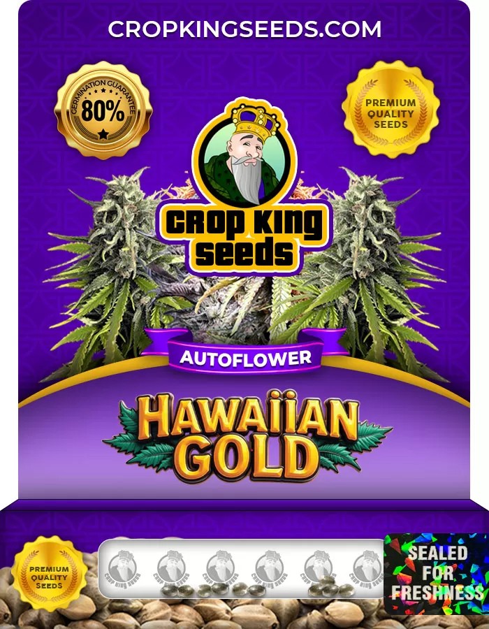 Hawaiian Gold Autoflower Marijuana Seeds