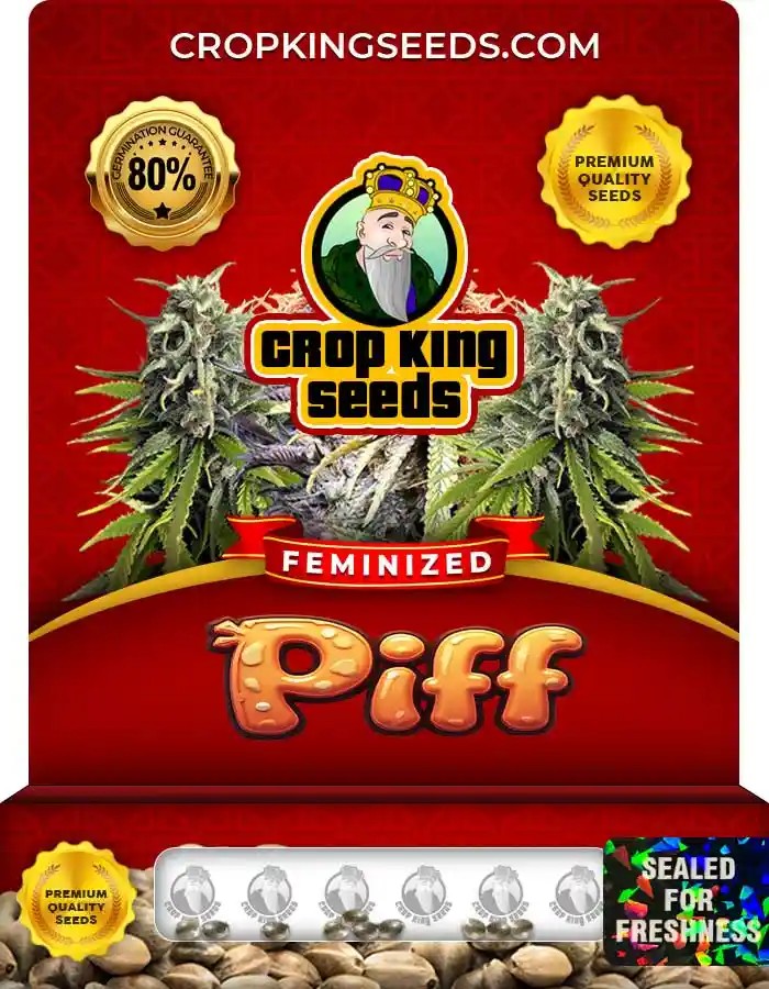 Piff Feminized Seeds