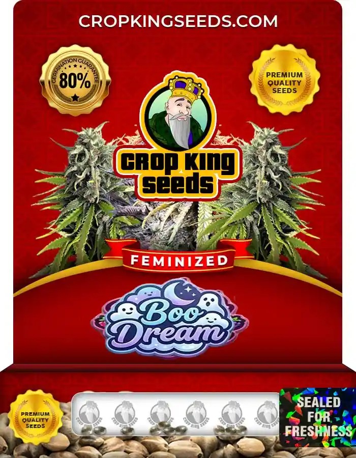 Boo Dream Strain Feminized Seeds