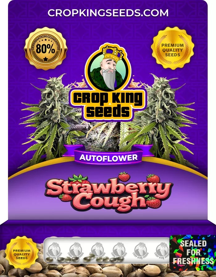 Strawberry Cough Autoflower Marijuana Seeds