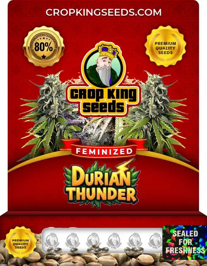 Durian Thunder Strain Feminized Seeds