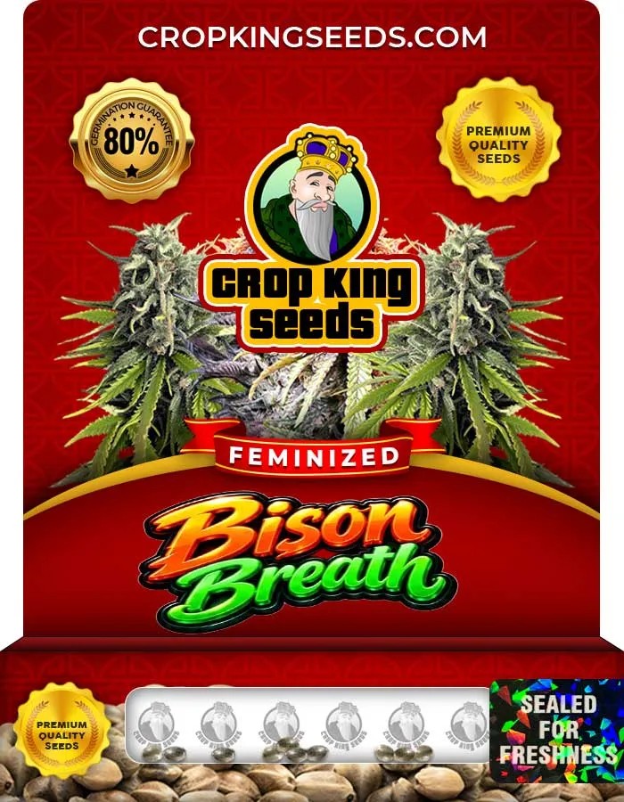 Bison Breath Strain Feminized Seeds
