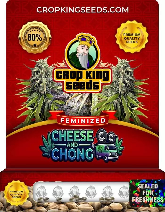 Cheese and Chong Feminized Seeds