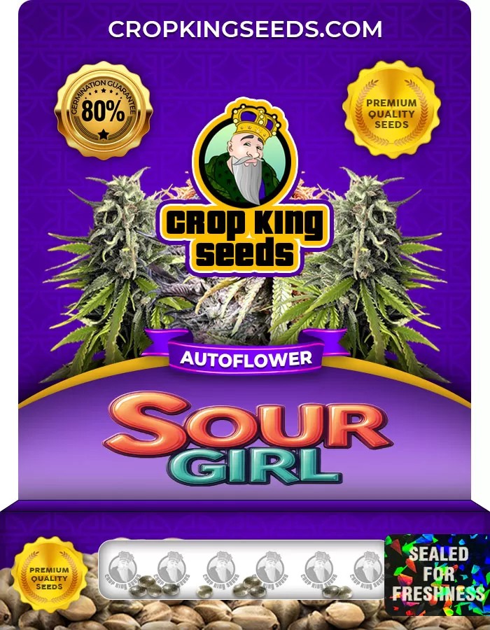 Sour Girl Autoflower Marijuana Seeds