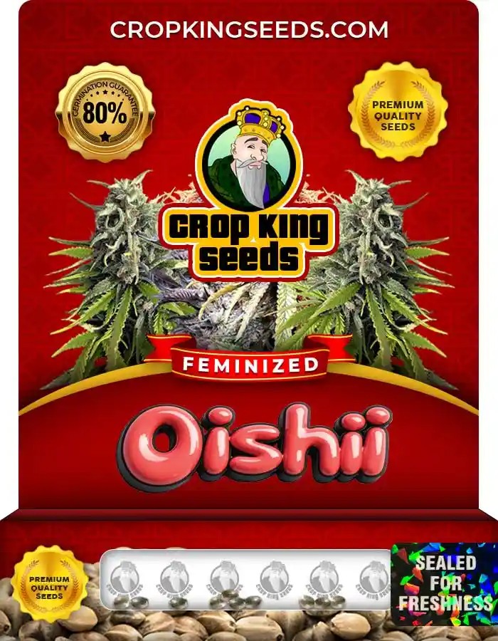Oishii Feminized Seeds