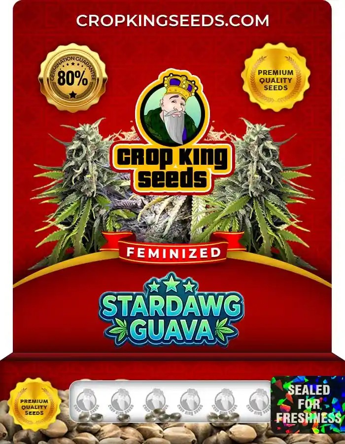 Stardawg Guava Strain Feminized Seeds