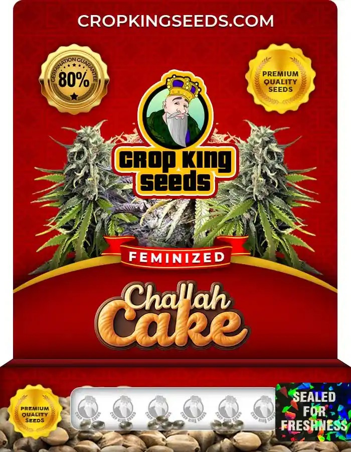 Challah Cake Strain Feminized Seeds