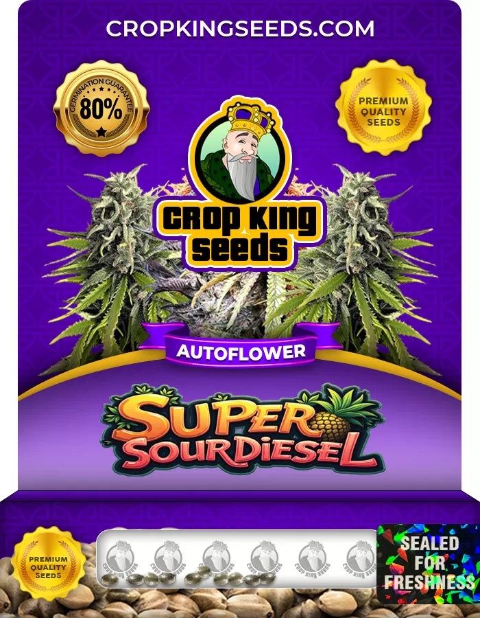 Super Sour Diesel Autoflower Marijuana Seeds