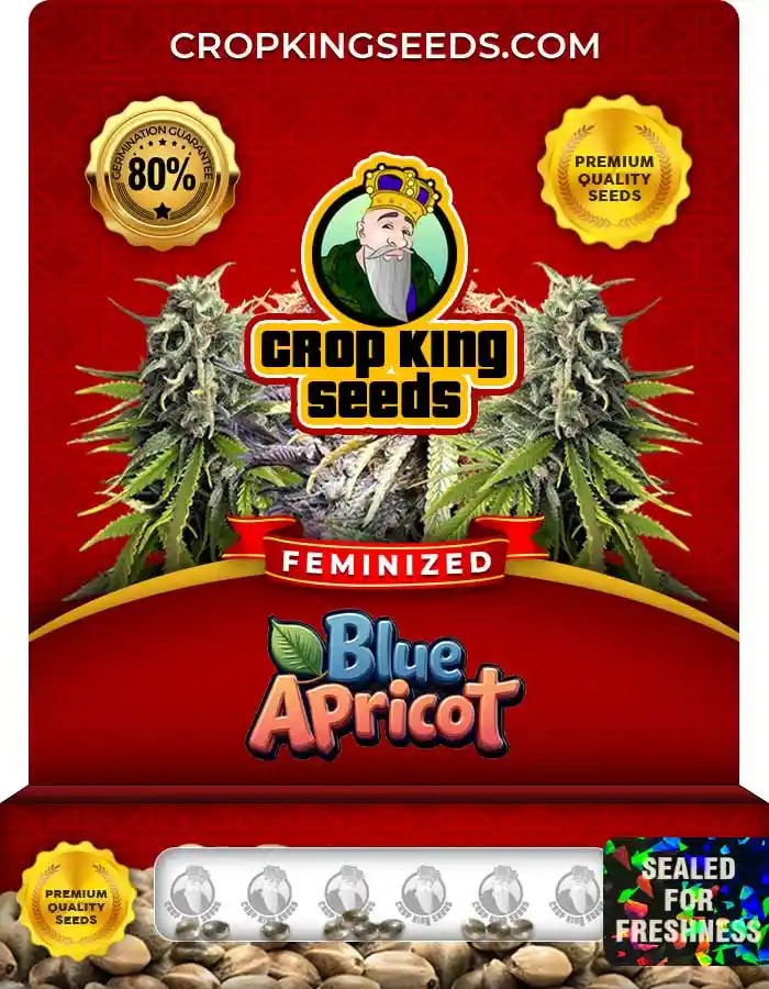 Blue Apricot Feminized Seeds