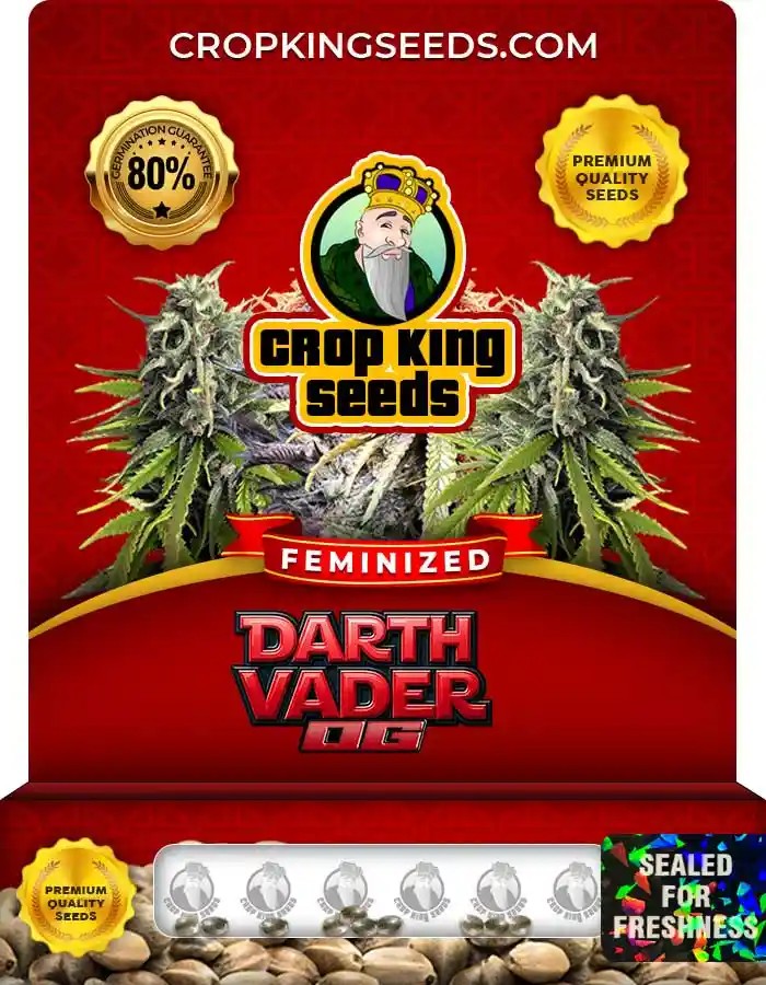 Darth Vader OG Strain Feminized Marijuana Seeds