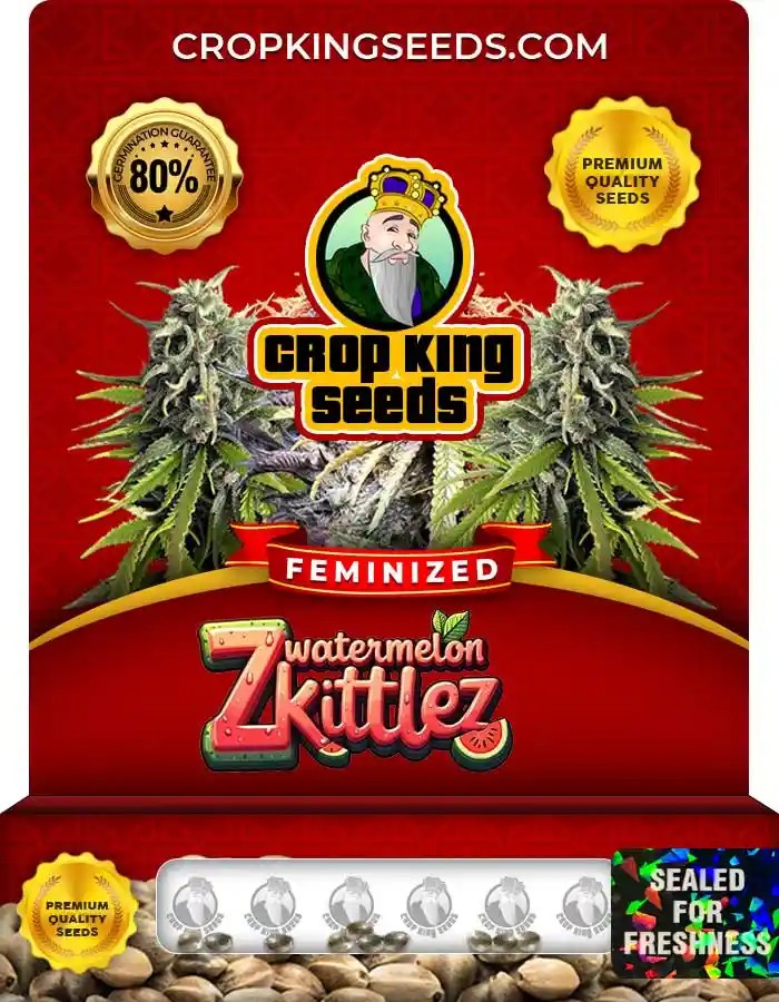 Watermelon Zkittlez Strain Feminized Marijuana Seeds
