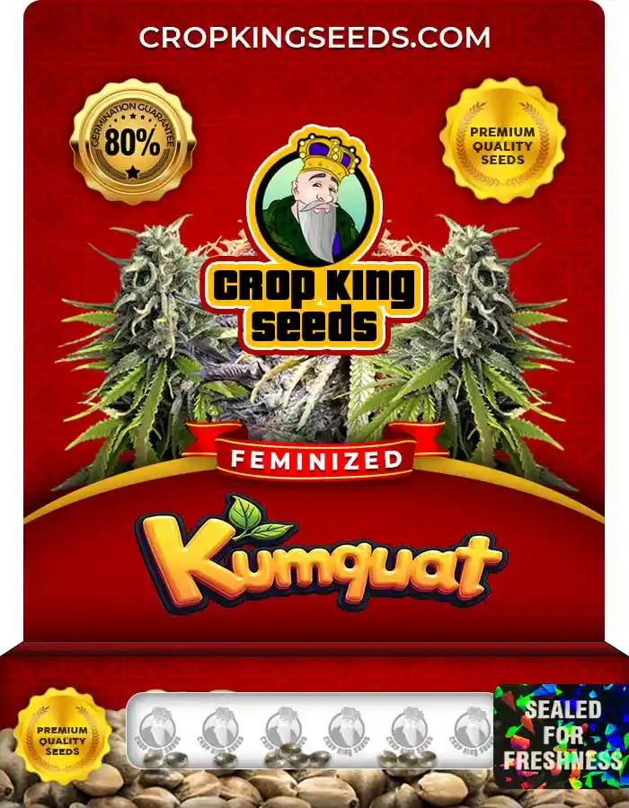 Kumquat Feminized Seeds